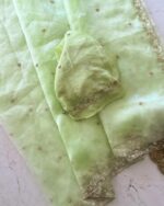 এক্সক্লুসিভ পেস্টেল টিস্যু অর্গানজা (Tissue Organza)শাড়ি - Image 4