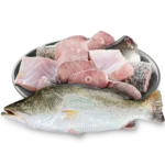 All Fishes (Coming Very Soon) - Image 30