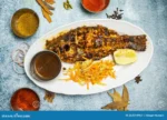 All Fishes (Coming Very Soon) - Image 27