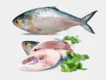 Hilsha Fish (Coming Soon) - Image 12