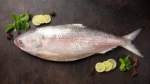 Hilsha Fish (Coming Soon) - Image 9