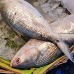 Hilsha Fish (Coming Soon) - Image 8