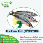 Mackerel Fish (Coming Soon) - Image 6