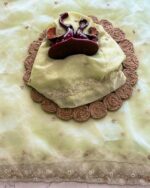 এক্সক্লুসিভ পেস্টেল টিস্যু অর্গানজা (Tissue Organza)শাড়ি - Image 6