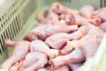Meat ( Coming Very Soon) - Image 3