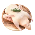Meat ( Coming Very Soon)
