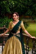 Premier Lehenga - Image 5